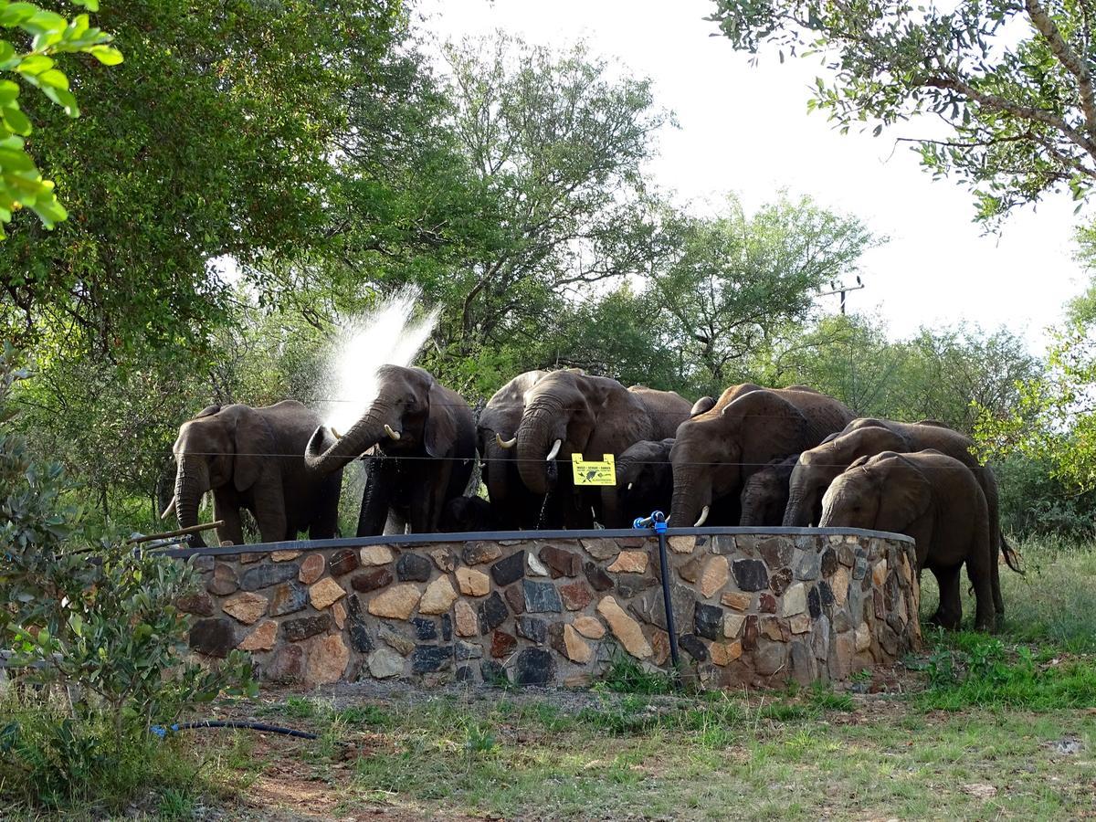 Emhosheni River Lodge Balule Doğa Koruma Alanı Dış mekan fotoğraf