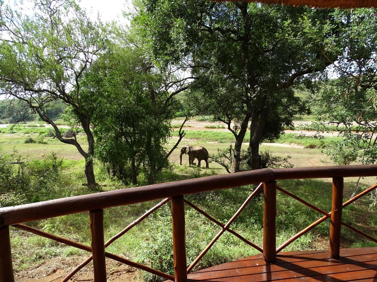 Emhosheni River Lodge Balule Doğa Koruma Alanı Dış mekan fotoğraf