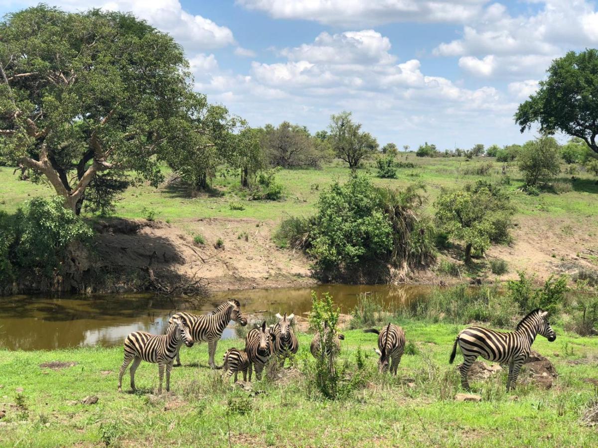 Emhosheni River Lodge Balule Doğa Koruma Alanı Dış mekan fotoğraf